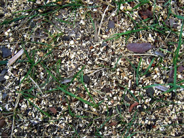 foto_137.jpg