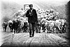 shepherd.jpg (106 KB)