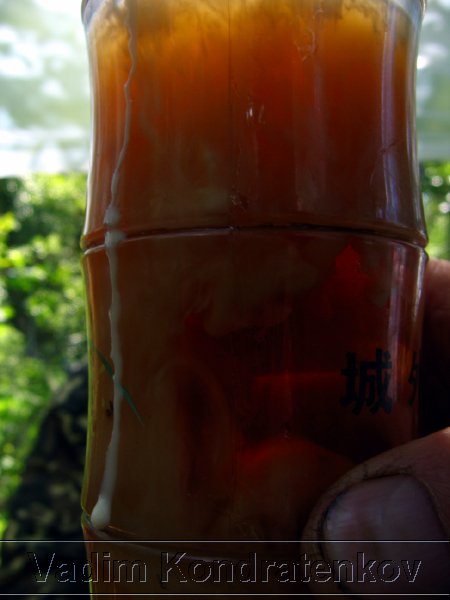 image_156.jpg