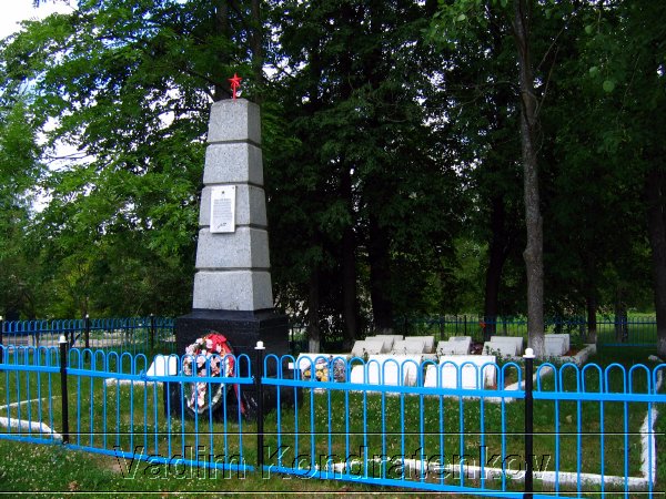 image_173.jpg