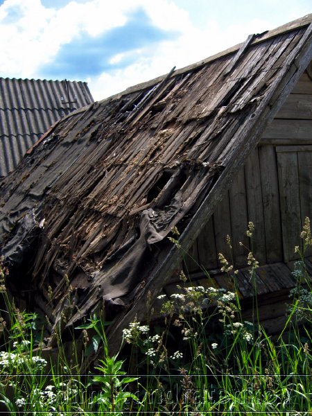 image_175.jpg