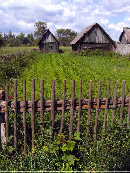 image_178.jpg