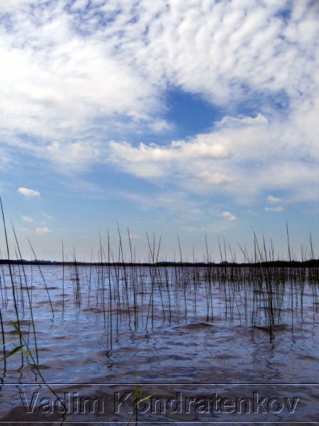 image_199.jpg