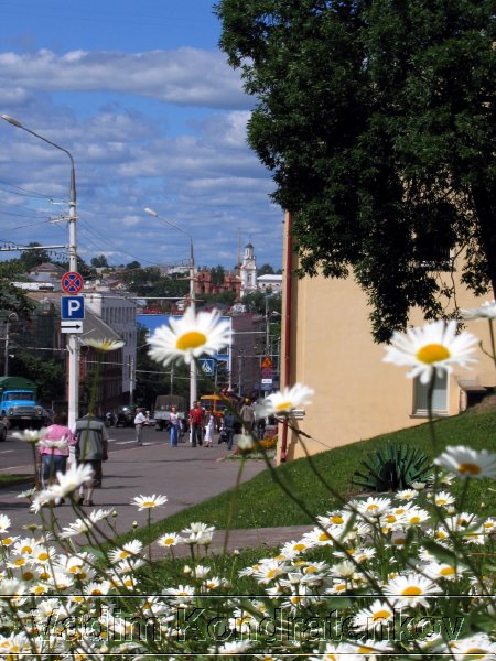 image_217.jpg