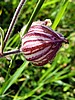 image_204.jpg (67 KB)