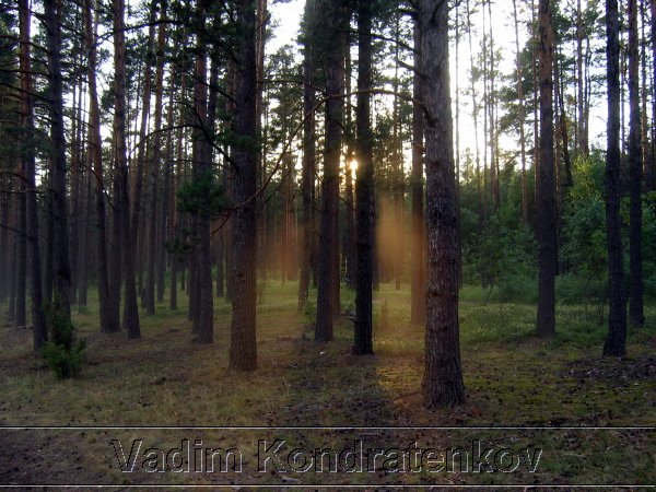 picture_211.jpg
