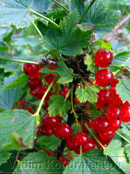 foto_022.jpg