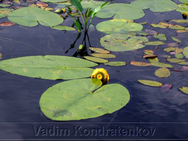 foto_046.jpg