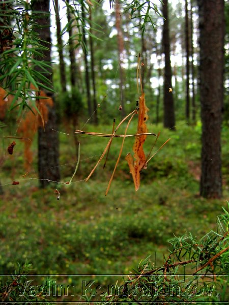 foto_055.jpg