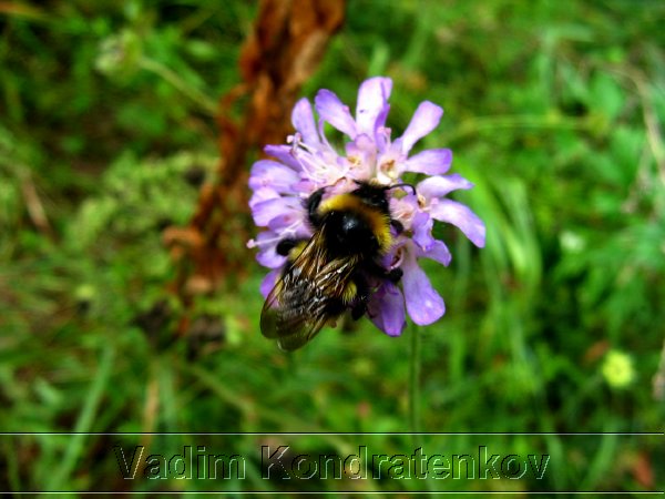 foto_059.jpg