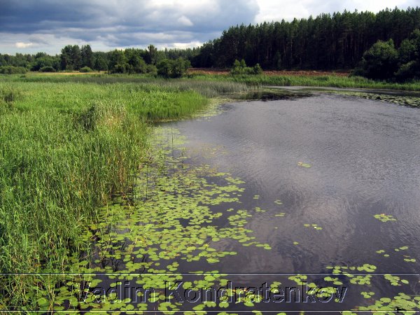 foto_067.jpg