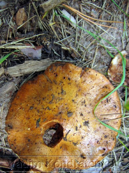 foto_072.jpg