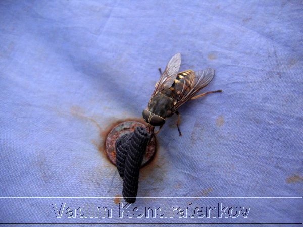 foto_075.jpg