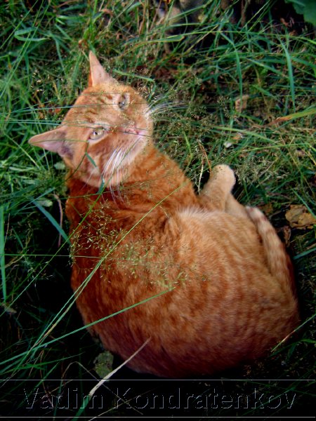 foto_078.jpg