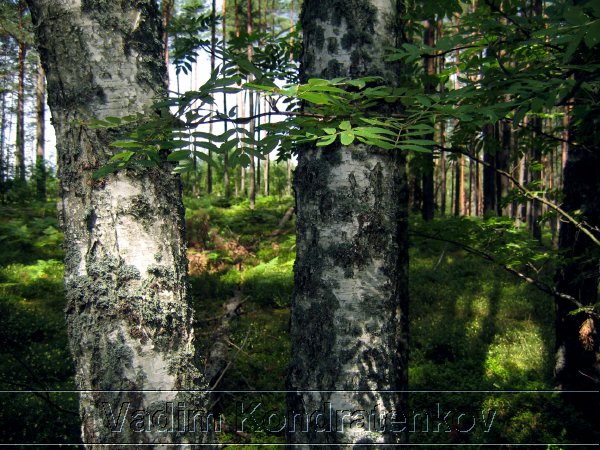 foto_084.jpg