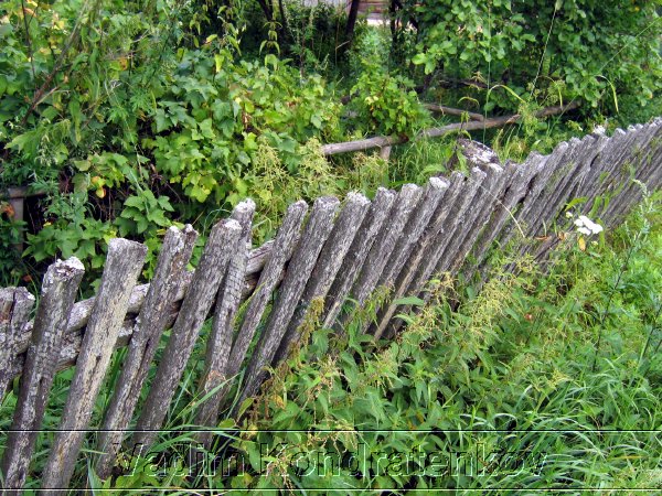 foto_102.jpg