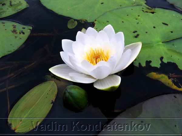 foto_186.jpg