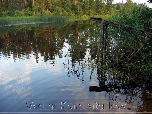 foto_195.jpg