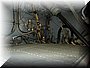 su24ll_089.jpg (91 KB)